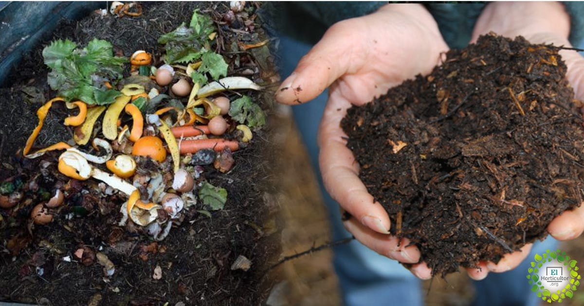 Cómo hacer una pila de compost - Agromática