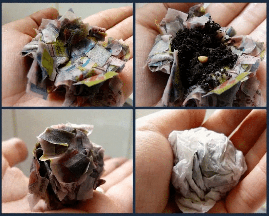 , Cómo hacer bombas de semillas con papel reciclado