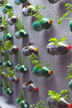 Jardin vertical hecho de botellas recicladas