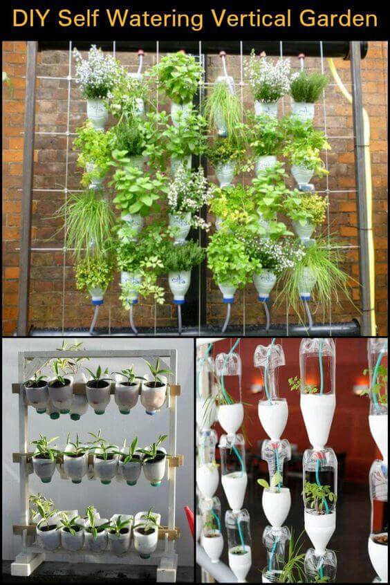 Jardines verticales hechos con botellas recicladas