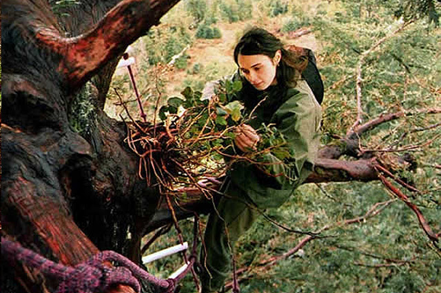 , Ella vivió 2 años en la cima de un árbol milenario para evitar que la talaran