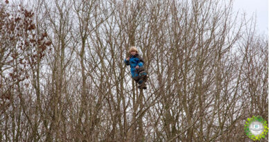 , Escuelas bosques, en Dinamarca los niños estudian en la naturaleza