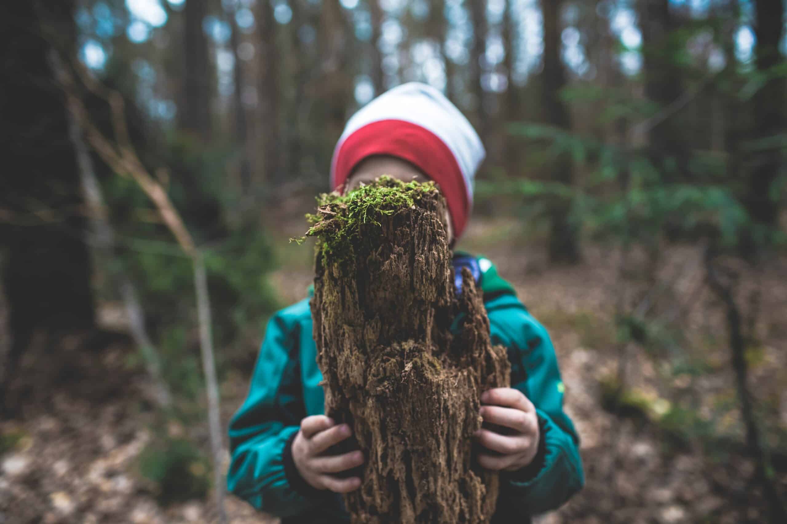 , Escuelas bosques, en Dinamarca los niños estudian en la naturaleza