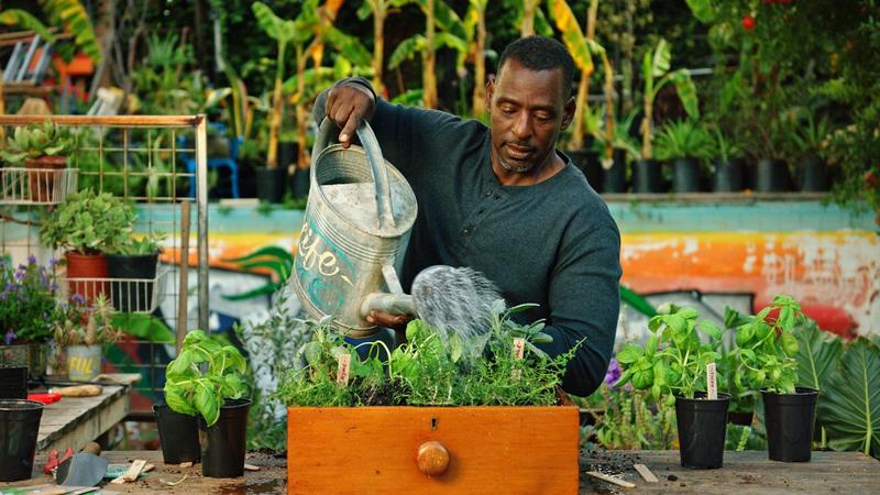 , El Jardinero «Gangster», uno de los agricultores urbanos más conocidos del mundo