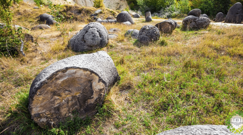 , Las misteriosas piedras vivas de Rumania: crecen, respiran y se reproducen