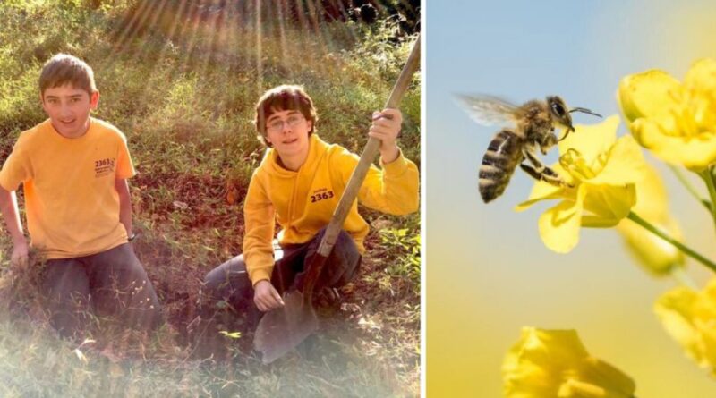 Dos adolescentes crean un proyecto medioambiental y reconstruyen 20 km de jardines para salvar a las abejas (EE. UU.)