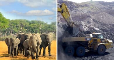 , Victoria histórica en Zimbabwe: se prohíbe la minería en todos los parques nacionales