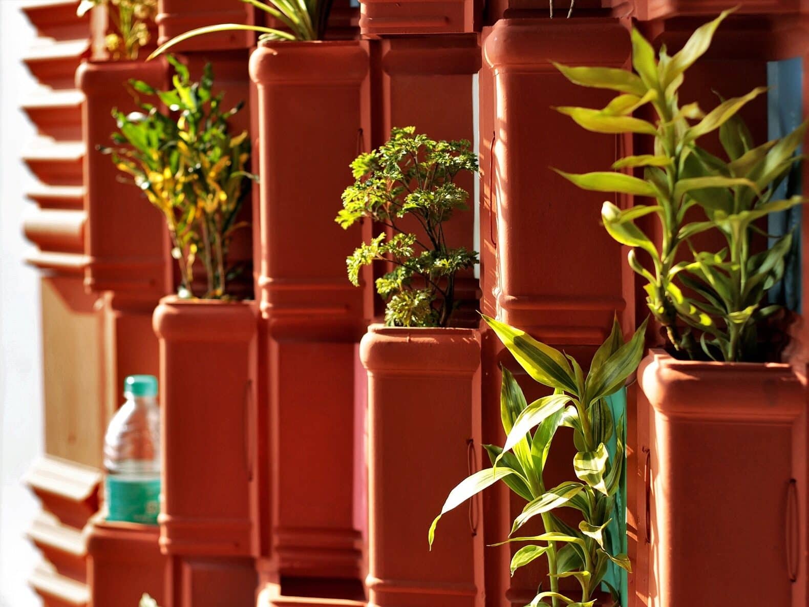 India: utilizan tejas de arcilla y plantas para crear efectivo sistema de refrigeración natural