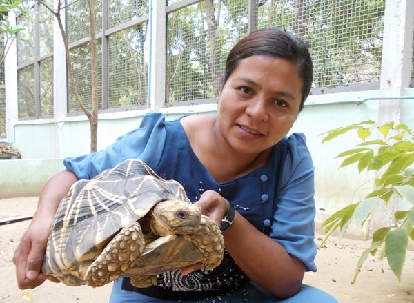 Reaparece tortuga de cara sonriente que se creía extinta desde hace casi 20 años