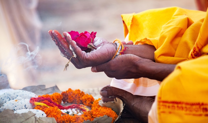 Startup india fabrica cuero vegano a partir de flores de templos desechadas