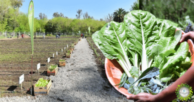 , Crean huerta orgánica municipal: abastecerá a comedores, merenderos y familias