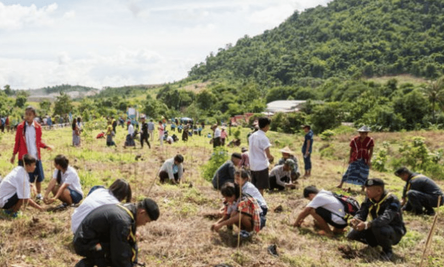 , Egresados: proponen celebrar plantando un árbol en lugar de huevazos y suciedad