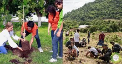 , Egresados: proponen celebrar plantando un árbol en lugar de huevazos y suciedad