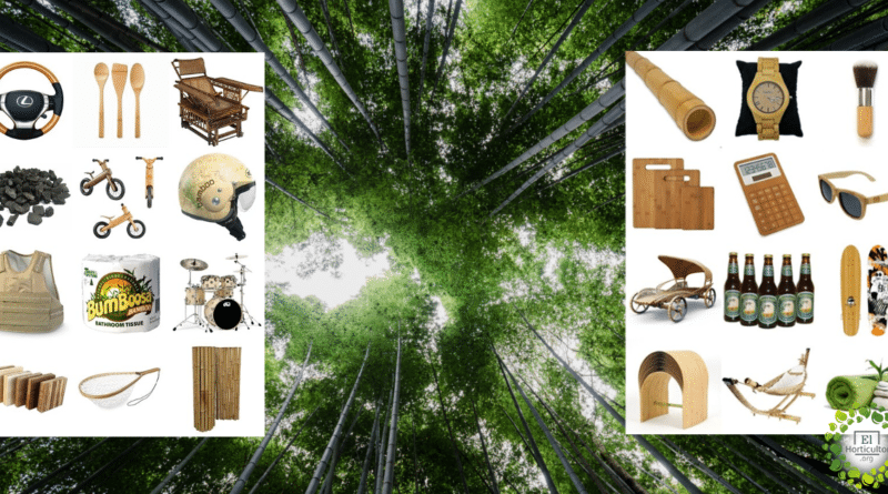 , El Bambú, la madera del Futuro