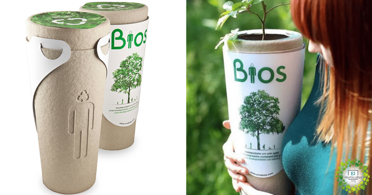 , Gracias a estas Bio-urnas puedes convertirte en un árbol después de morir