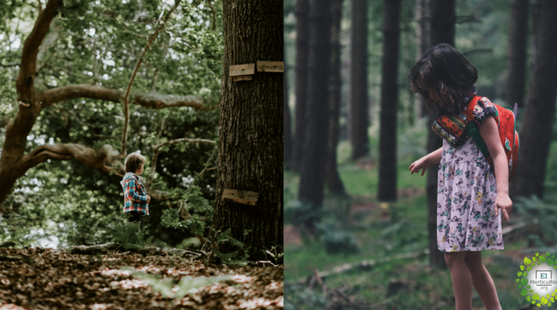 , Estudio: Los niños que crecen rodeados de naturaleza se convierten en adultos más felices