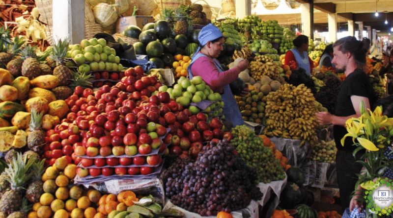 , El camino hacia una dieta vegetariana crearía 19 millones de empleos en América Latina
