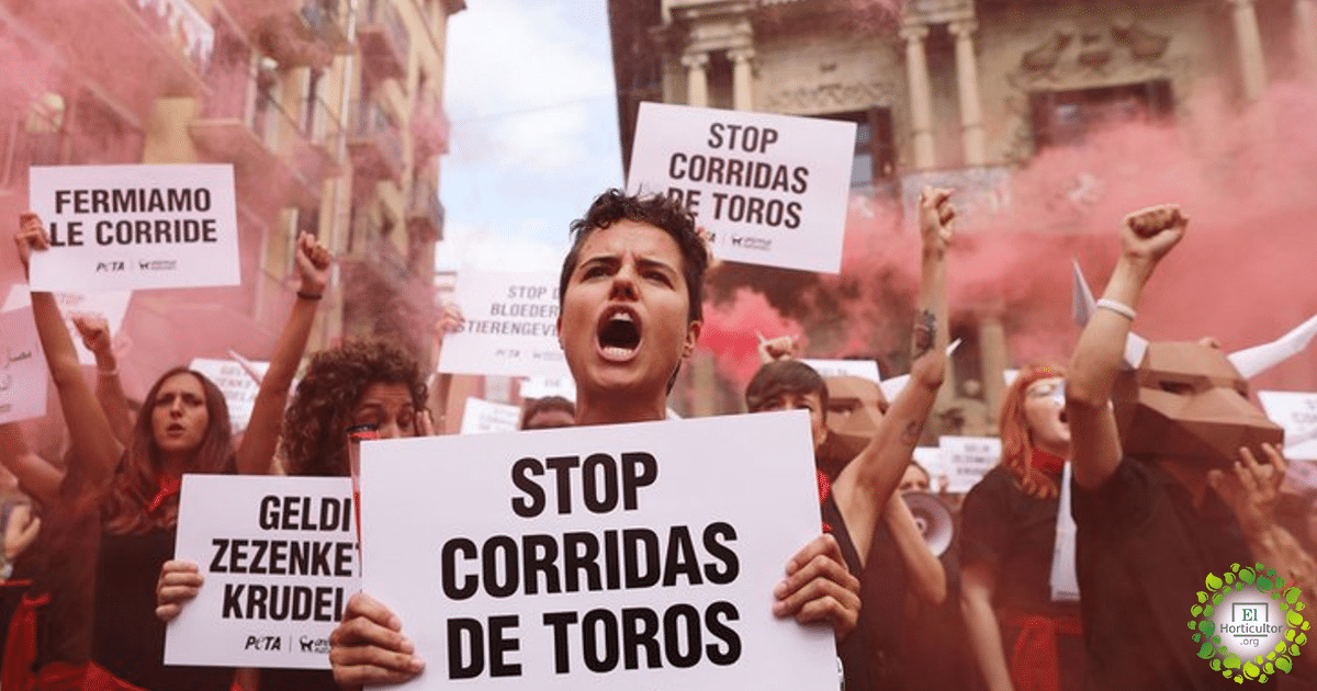 , Quintana Roo, otro estado mexicano que prohíbe las corridas de toros