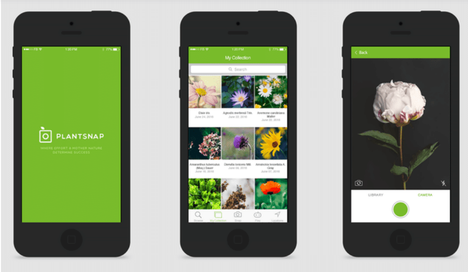 , Las mejores aplicaciones gratuitas de identificación de plantas para que tengas en tu celular