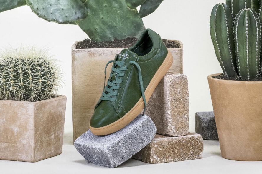 , Lanzan las primeras zapatillas del mundo hechas en cuero de cactus