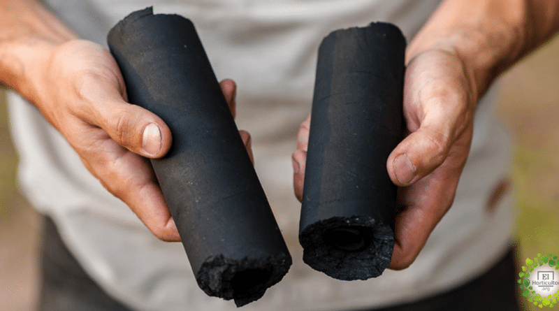 , Argentino crea la primer fábrica de carbón ecológico para evitar la tala de árboles