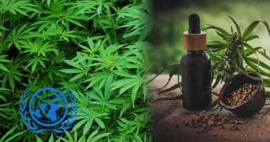 , La ONU retira al cannabis de la lista de drogas peligrosas y lo reconoce como sustancia terapéutica después de 50 años