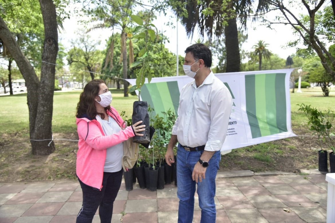 , En Córdoba regalan árboles frutales para llenar la ciudad de alimento