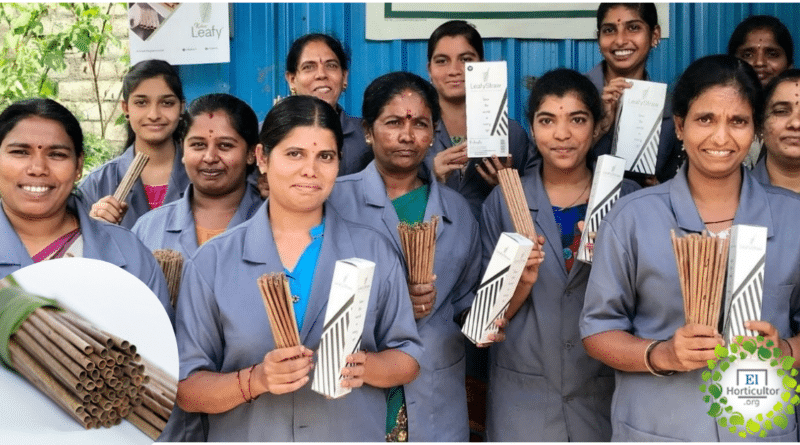 , Mujeres en India fabrican 10.000 pajitas por día con las hojas de Coco caídas