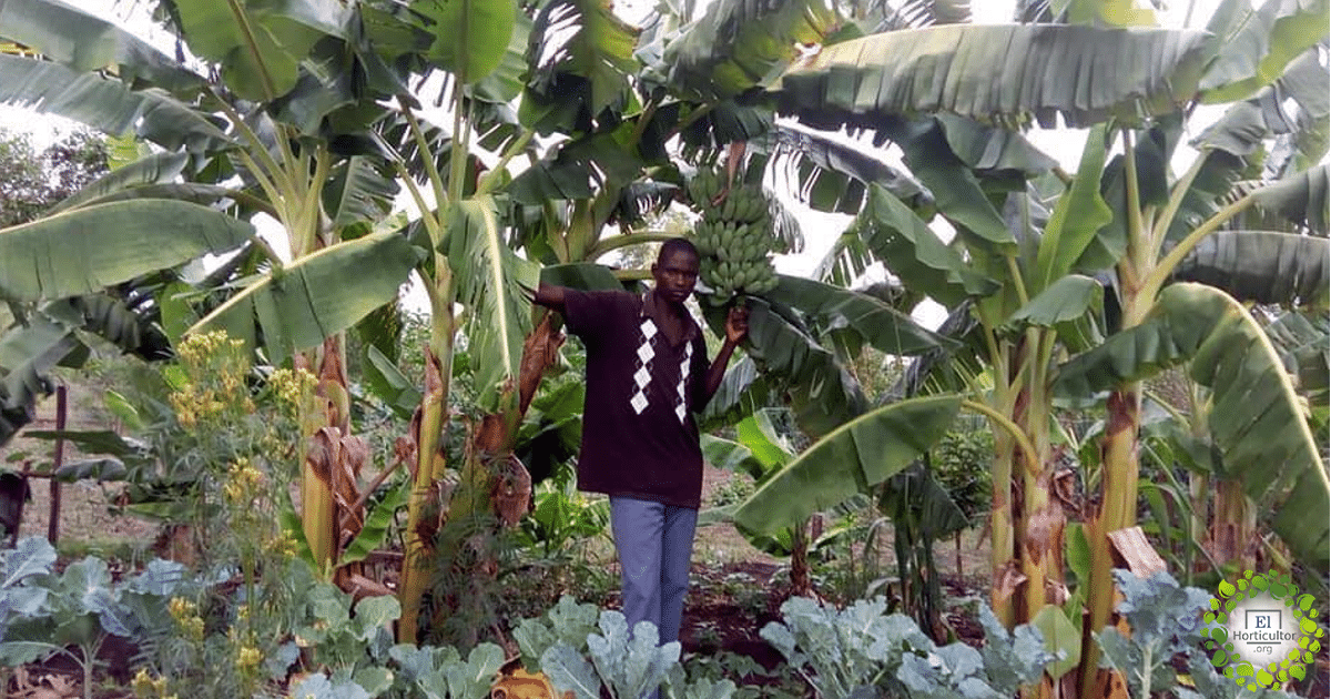 , Joseph enseña Agricultura sostenible en África para que a nadie le falte su plato de comida