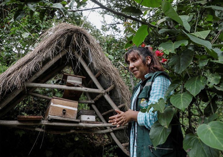 , Pareja boliviana salva a las abejas de la deforestación provocada por los cultivos de coca
