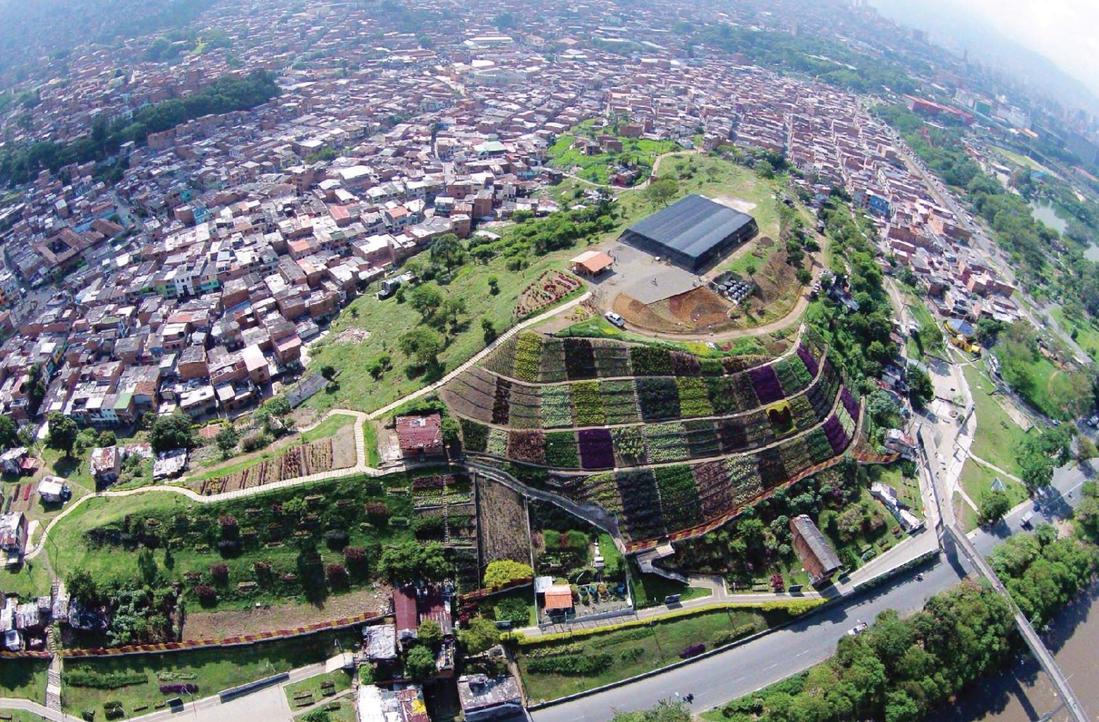 , En colombia transformaron un enorme basural en el mejor jardín de toda la ciudad