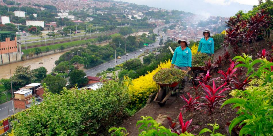 , En colombia transformaron un enorme basural en el mejor jardín de toda la ciudad