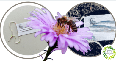 , Crean máscaras biodegradables que luego de su uso se convertirán en Flores para abejas