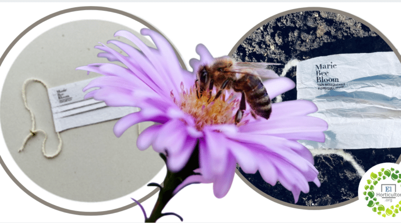 , Crean máscaras biodegradables que luego de su uso se convertirán en Flores para abejas