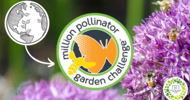, 1 millón de jardineros plantan flores y crean una red global para salvar a las abejas