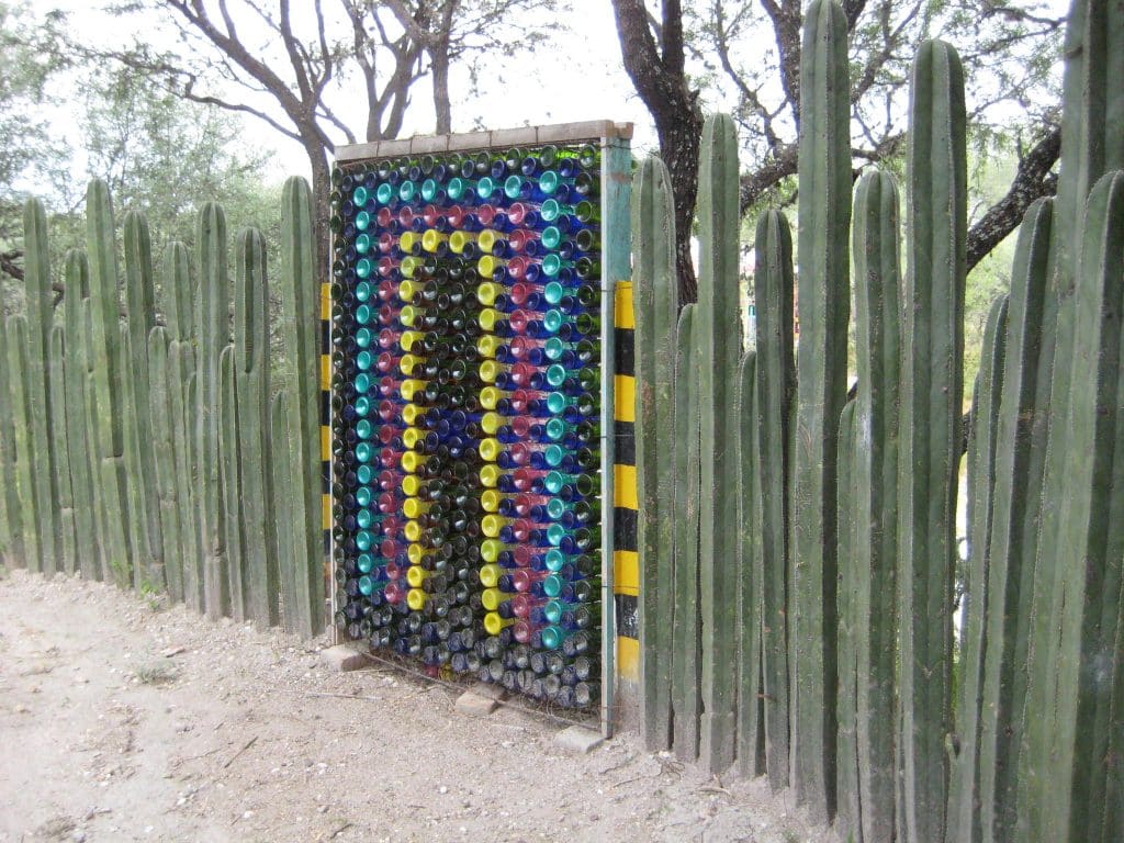 Cercos vivos de cactus, una opci&oacute;n sustentable