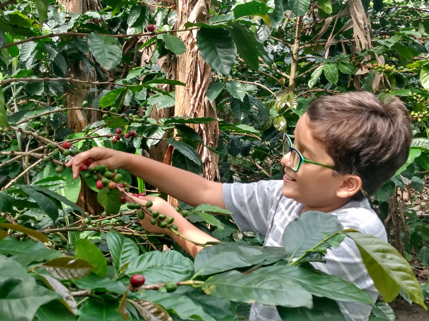 , Francisco, el niño ambientalista de 11 años que ya es un líder Internacional