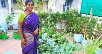 , Ama de casa cosecha el 90% de sus vegetales, tiene más de 100 bolsas de cultivo en su terraza