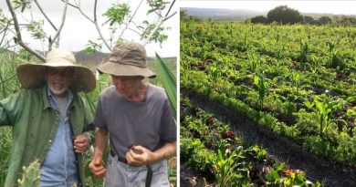 Agricultores Brasileños "plantan agua" en la región semiárida de Bahía