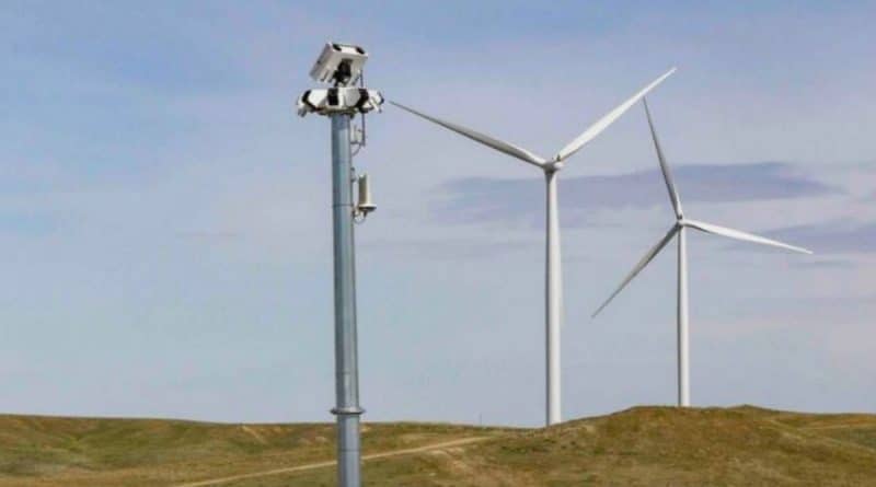 Turbinas eólicas inteligentes usan cámaras para detectar pájaros y se apagan cuando se acercan demasiado