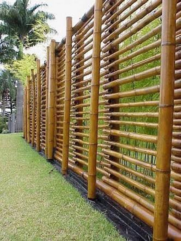 39 ideas de cercas de bambú fáciles de construir