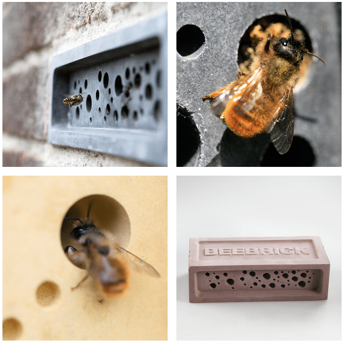 Inglaterra exige el uso de ladrillos para abejas en construcciones