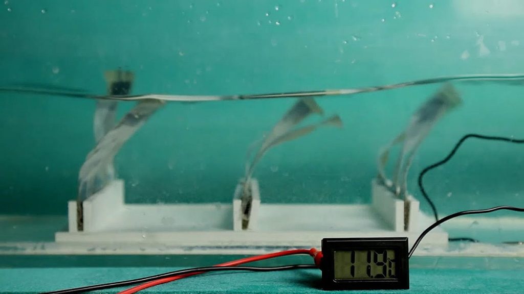 Inspirados en las algas, estos generadores funcionan con el movimiento del agua