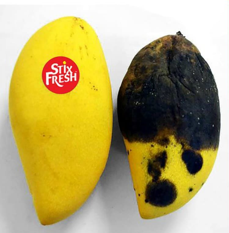 , Joven creó una etiqueta natural para frutas que extendería su vida útil hasta 14 días