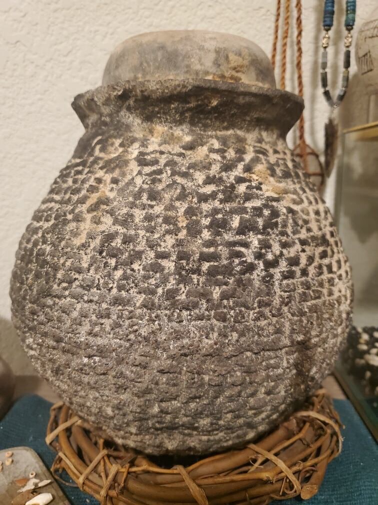 Granjero encuentra una vasija que contiene una variedad de maíz de 1000 años de antigüedad perfectamente conservada