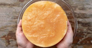 Seg&uacute;n estudio, los SCOBY de Kombucha purifican el agua un 40 % mejor que los filtros de agua comerciales