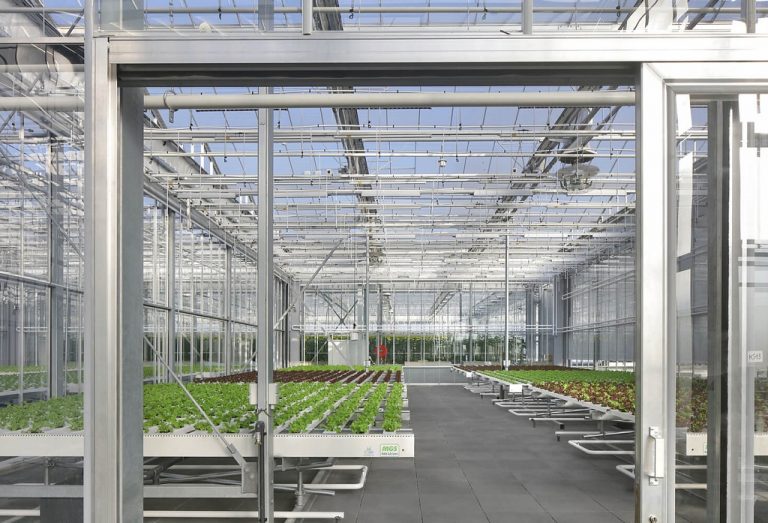 Bélgica abre un gran invernadero urbano para la producción local de alimentos