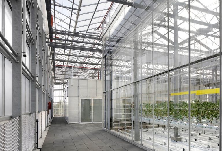 Bélgica abre un gran invernadero urbano para la producción local de alimentos