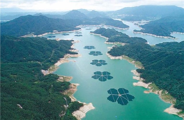 Paneles Solares Flotantes En Forma De Flores Reemplazan Al Carb n En 