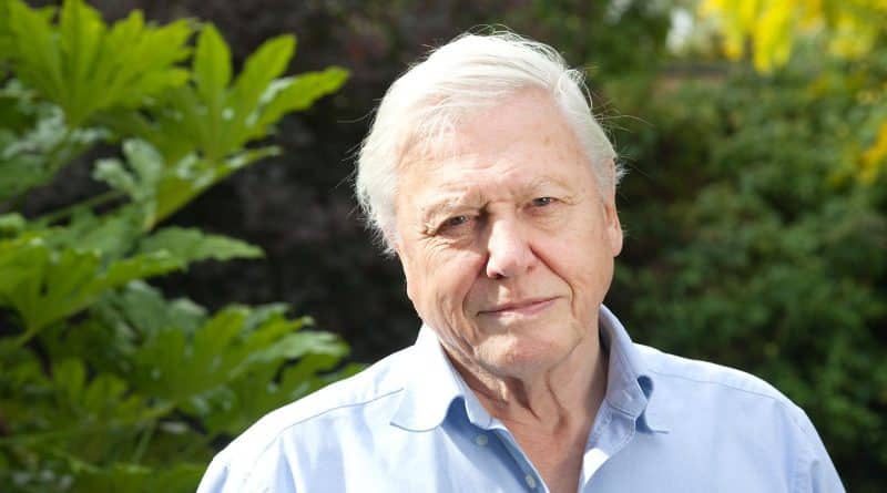 David Attenborough es reconocido como Campeón de la Tierra por la ONU